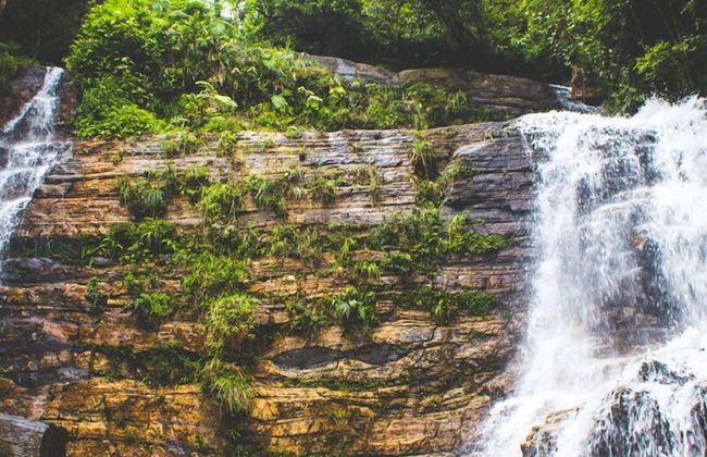 Brockenhurst Villa - Foto 15