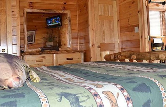 Dollywood Cabins - Foto 10