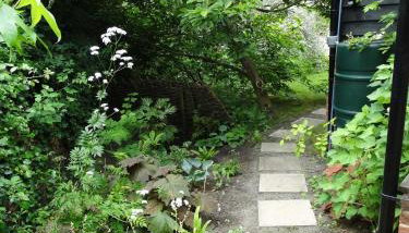 Foxgloves self catering - Foto 5