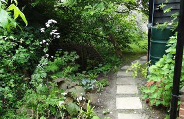 Foxgloves self catering - Foto 5