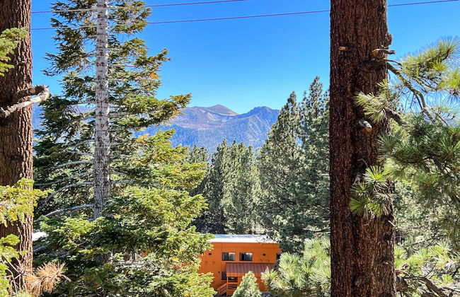 Gray Eagle Retreat - Foto 32