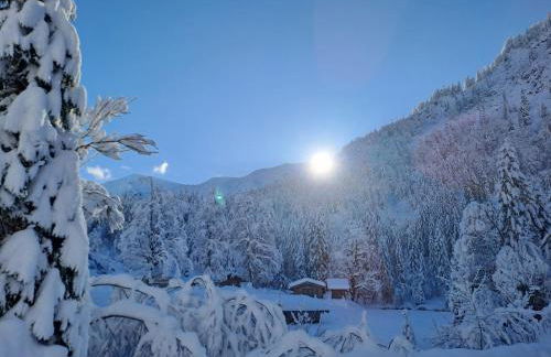 Ferienwohnungen Nagel, Kreuth-Enterbach - Foto 15