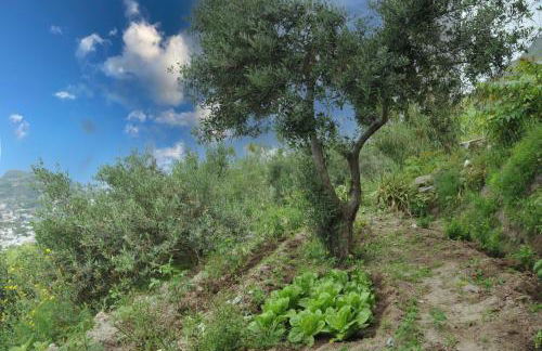 Appartamento di villa gesualda - Foto 28