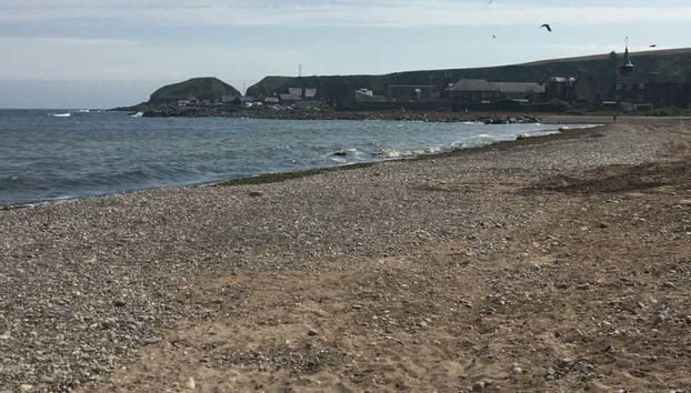 Spiaggia di Stonehaven