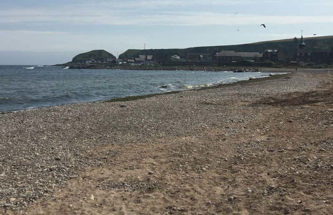 Escursione ai castelli di Glamis e Dunnottar - Foto 2