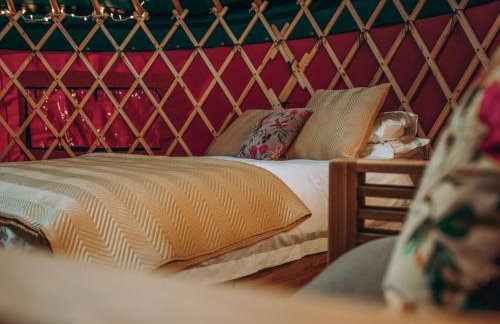 Timothy Yurt - Uk47889 - Foto 7