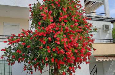 Kalipso Family Apartments - Photo 23