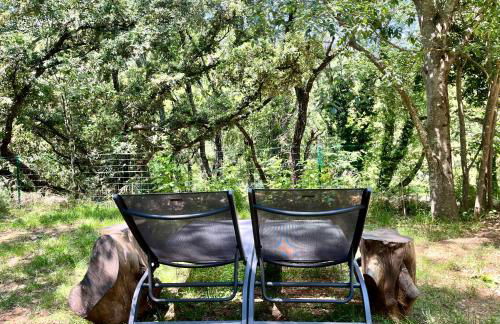 Appartement 2 chambres avec jardin - Foto 13