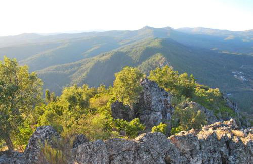 Alojamentos Turísticos São Torcato Moradal Turismo Espaço Rural - Foto 12