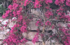 Stunning Villa with Pool & View near beach - Foto 69