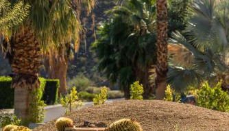 The Biskra House - Foto 4, Garden