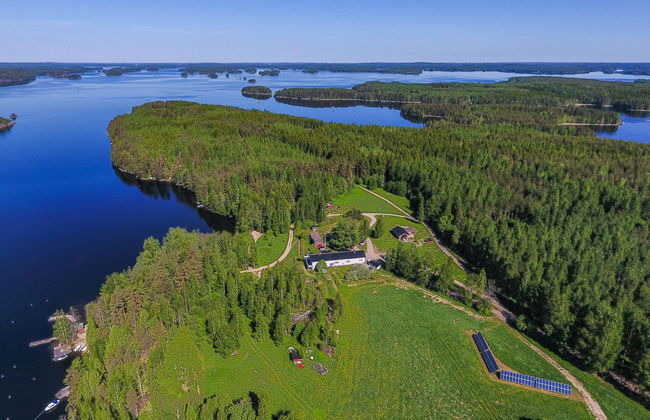 Koivurinne - Foto 28