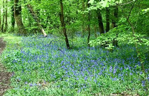 Holders Cottage - Foto 19