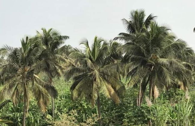 Villa Santa Cruz Santiago - Foto 6