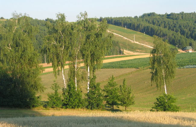 Jura dla Ciebie - Foto 38