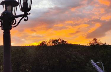 Au chant des oiseaux - rouge gorge - Foto 23