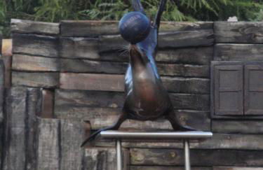 Casa para vacaciones junto al Parque de la Naturaleza de Cabarceno - Foto 12