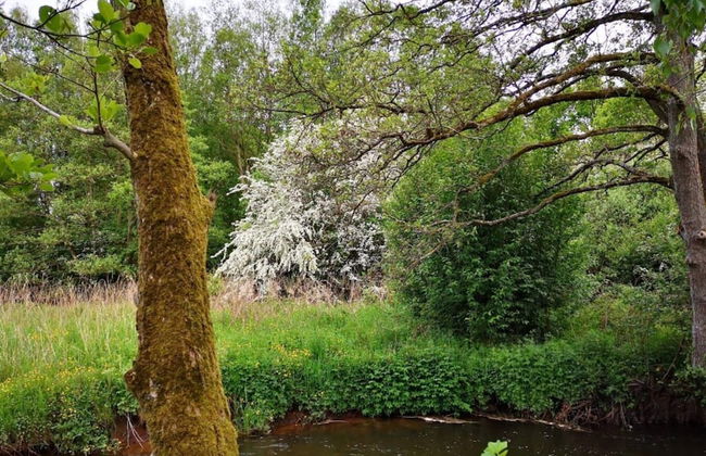 4 Person Holiday Home in Ansager-by Traum - Foto 34