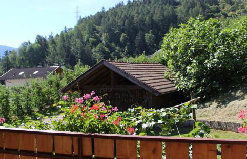 Apartment Ida - Obermösslhof - Photo 19