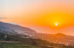 Canarian Cottage with terrace surrounded by garden - Alisios - Foto 26