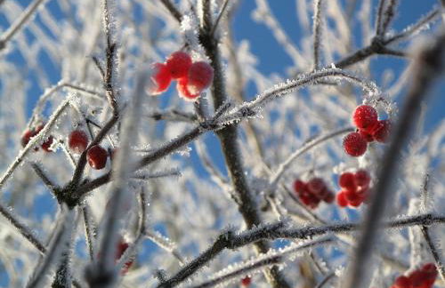 Zum Pinken Schaf - Photo 38