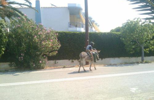 Nefeli Studios - Photo 42