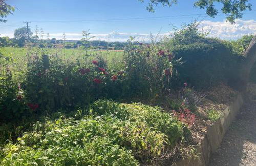 Lake District Solway View 16 The Beeches Caravan Park - Photo 13