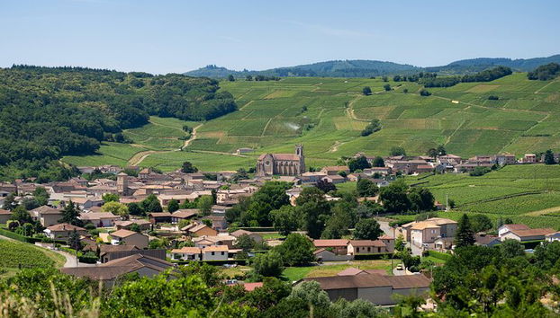 Recorrido privado de un día completo por los viñedos de Borgoña en un Land Rover clásico (Lyon) - Foto 2, ¡Así es la zona y seguramente conocerás el nombre del vino que produce este pueblo en específico!