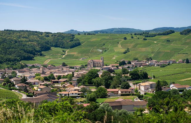 Recorrido privado de un día completo por los viñedos de Borgoña en un Land Rover clásico (Lyon) - Foto 2