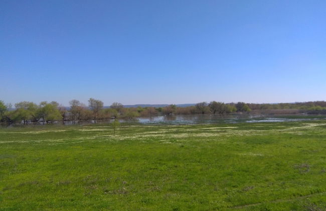 Casa dos Arrábidos - Foto 34