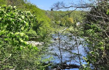 Chalet à L'orée du bois avec parking - Foto 24