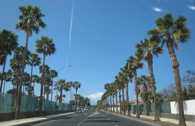 Campo Golf Bungalows - Foto 56