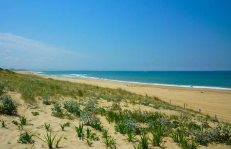 Maison entre côte basque et côte Landaise - Foto 13
