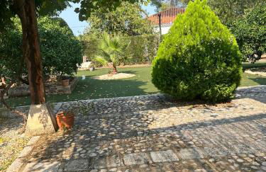 Ven-Al-Azahar - Foto 29