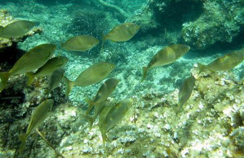 La Cava di Sasà - Foto 33