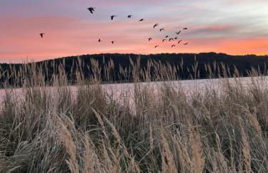 Cottage an der Elbe Tespe Hamburg - Foto 18