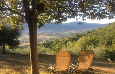 Casale degli ulivi - Foto 22