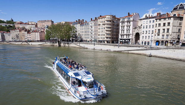 Lyon City Card – Acceso a más de 40 atracciones - Foto 5