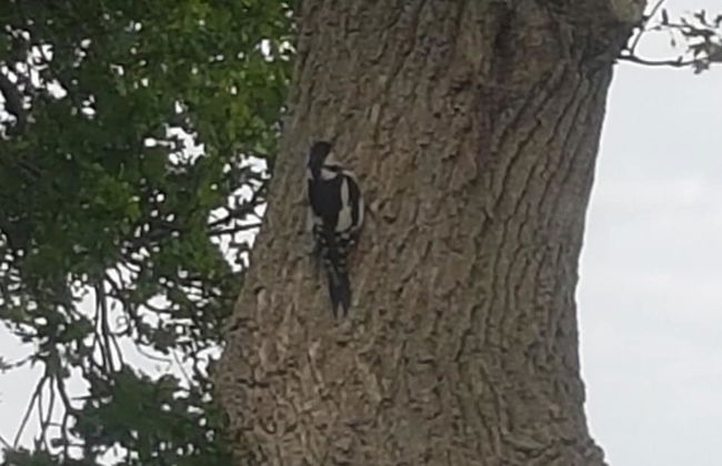 Restful Holiday Home in Lemele - Foto 13