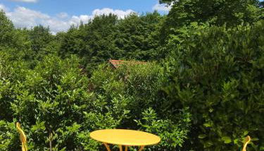 Gatekeepers Lodge, Dyrham Park - Private & Self Contained, deluxe accommodation, 15 mins from Bath - Foto 4, Garden, Garden view