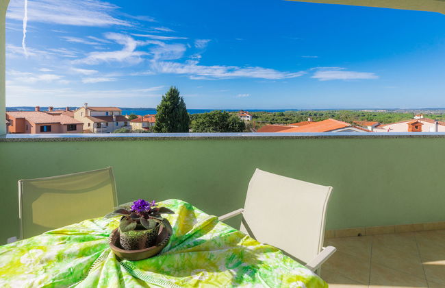 Salamander - Foto 58