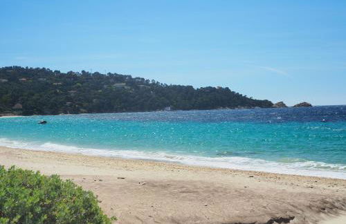 Les Terrasses du Mirage grand T2 - Foto 34