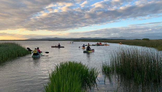 Tour en kayak por los humedales de Imbé - Foto 5