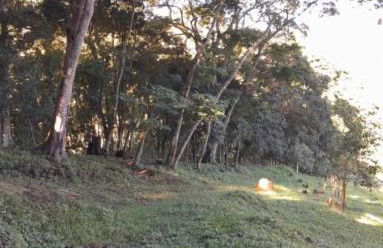 Chalé anjico - Foto 31