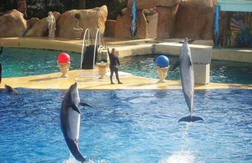 Apartamento playa Costa Barcelona - Foto 79