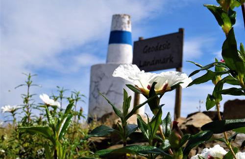 Monte do Alento - Castro da Cola - Foto 50