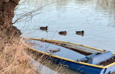 La Villa des Coccinelles - Photo 26