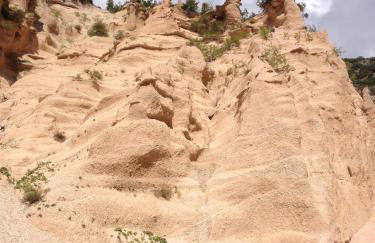 Casavacanze Ciaspole E Uva - Foto 71