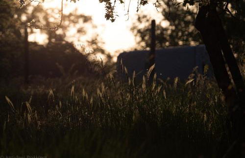 Podere Porcino - Foto 26