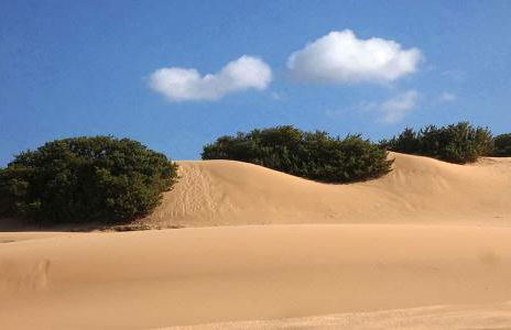 Borgo Ingurtosu - Photo 59